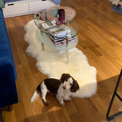The Luxe Duo