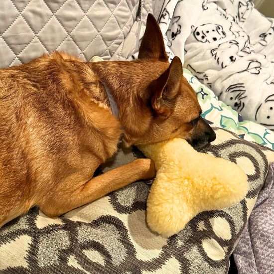 The Ranchers™ — Sheepskin Bone Toy Collection