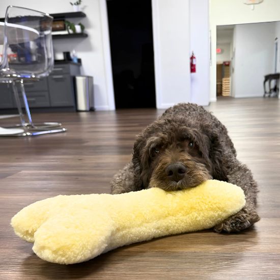The Ranchers™ — Sheepskin Bone Toy Collection
