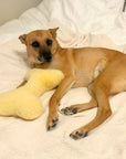 The Ranchers™ — Sheepskin Bone Toy Collection