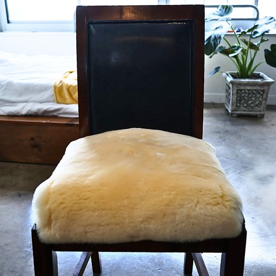 The Everyday Seat