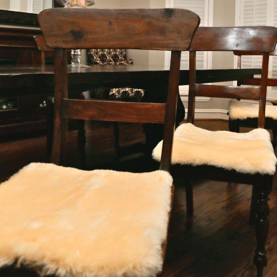The Everyday Seat