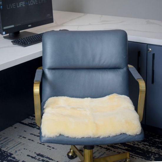 The Everyday Seat