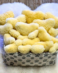 The Ranchers™ — Sheepskin Bone Toy Collection