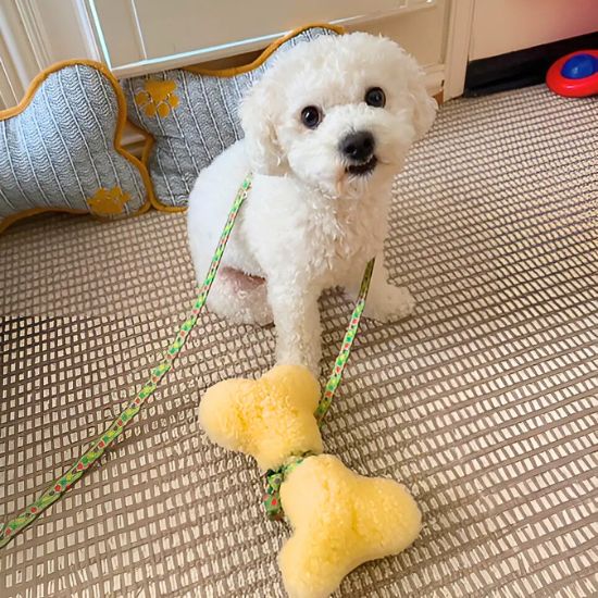 The Ranchers™ — Sheepskin Bone Toy Collection