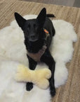 The Ranchers™ — Sheepskin Bone Toy Collection